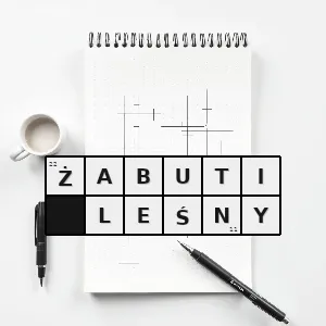 Hasło krzyżówkowe żółw brazylijski geochelone denticulata gatunek gada z podrzędu żółwi skrytoszyjnych z rodziny żółwi lądowych prowadzący ściśle lądowy tryb życia występuje w ameryce południowej na wschód od an - żabuti leśny – rozwiązanie, synonimy, podpowiedzi i definicje krzyżówkowe